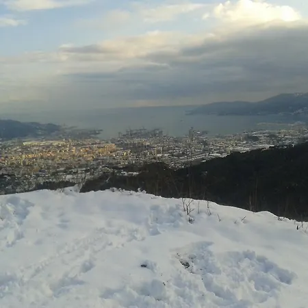 Affittacamere Ciccio E Pinolo 3*